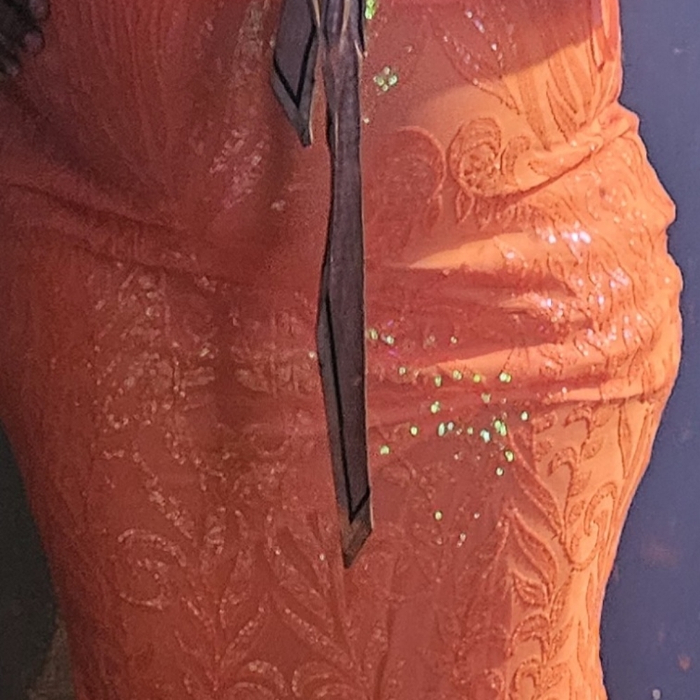 orange sequin maxi dress plus size 3X-18 never worn NO OUTSIDE COMMUNICATION
